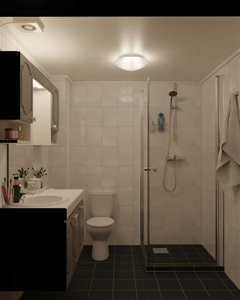 Real bathroom camera – Telegraph