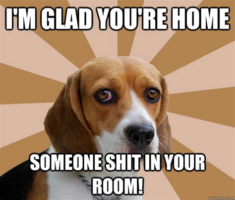 Funny Beagle Wallpaper - WallpaperSafari