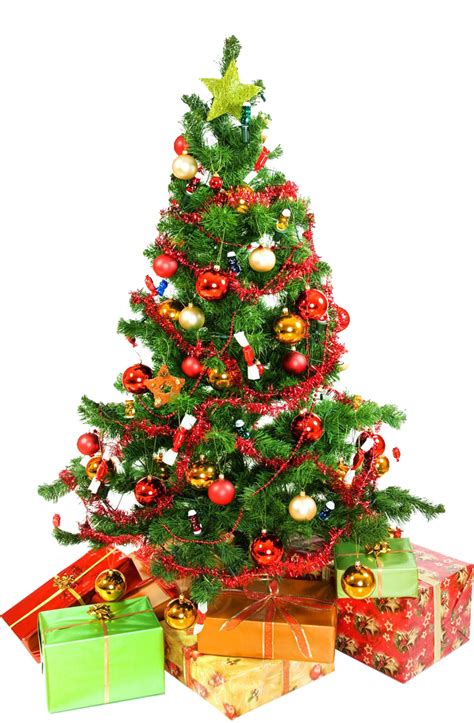 Christmas tree PNG