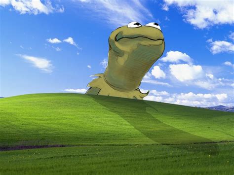 Bliss Windows XP Kermit the Frog Wallpaper