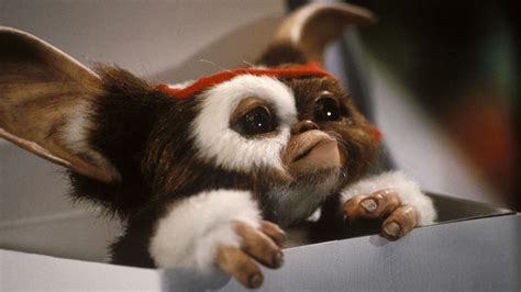 Gizmo Wallpaper ~ Gizmo Gremlins Rambo Wallpapers Neca 90s | goawall