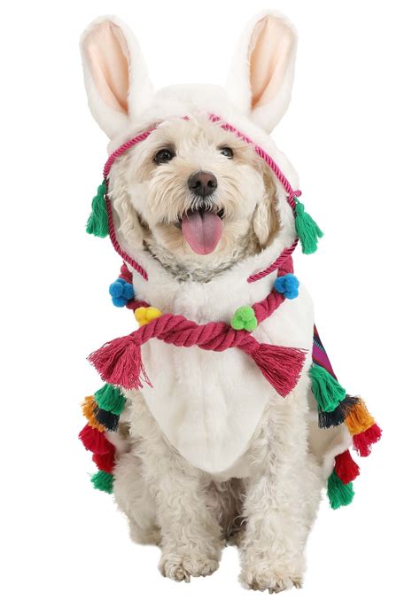 Dog Llama Costume