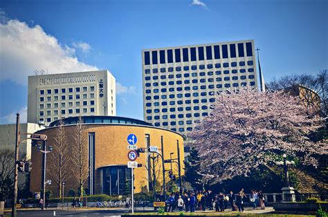 Top 5 Foreigner-Friendly Japanese Universities | Motto Japan Media - Japanese Culture & Living ...