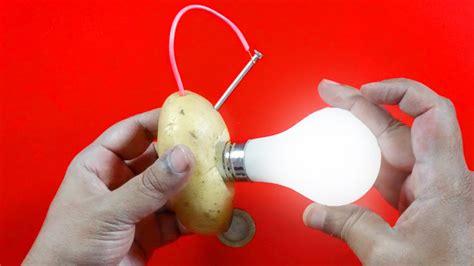 How to Light Bulb Using Potato? | POTATO vs BULB Experiment - YouTube