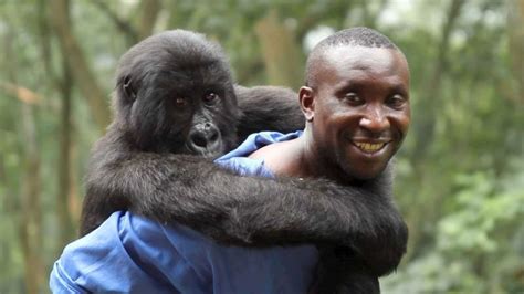 Virunga (2014) – Movie Reviews Simbasible