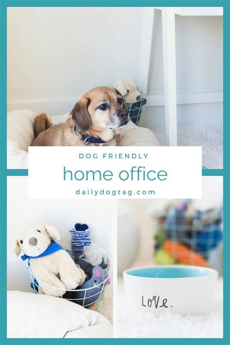 Office Accessories For The Dog Obsessed | Dog obsessed, Dog friends, Office dog