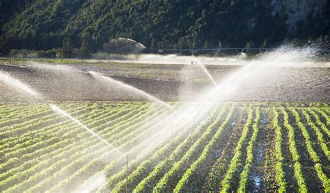 Modern irrigation systems implemented in 2.4m hectares of farmlands ...