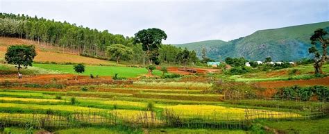 Best of Araku Valley