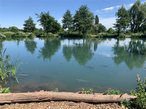 Elton Carp and Catfish Lakes – Great carp and catfish fishing at Elton Lakes in Gloucestershire ...