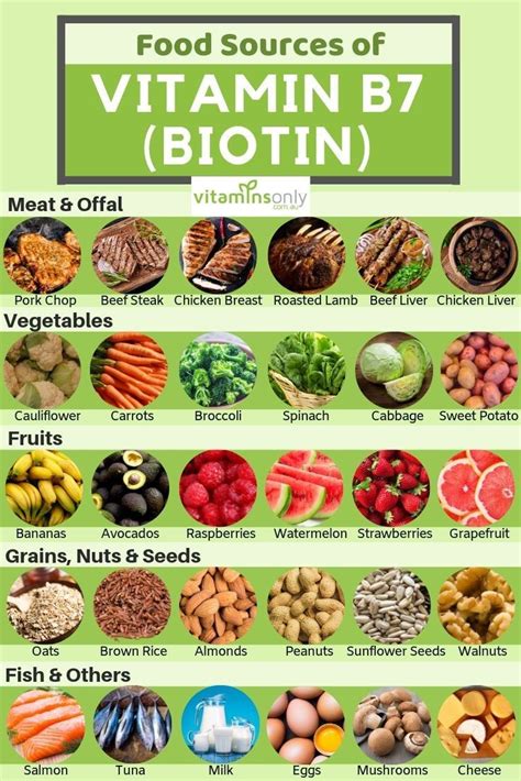 Foods From Animal Sources Usually Contain Which Type Of Protein - CETDEI