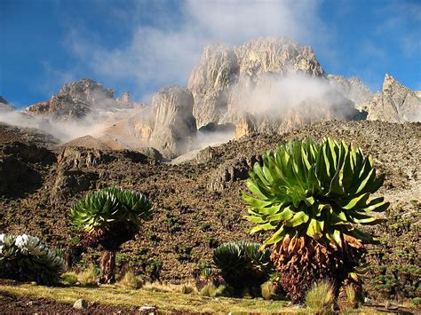 Mount Kenya - WorldAtlas