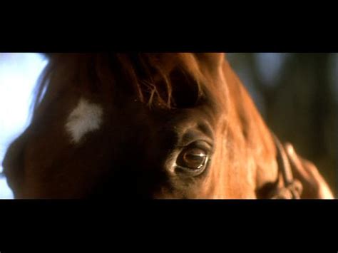 The Horse Whisperer Screencaps - Movies Image (1741144) - Fanpop