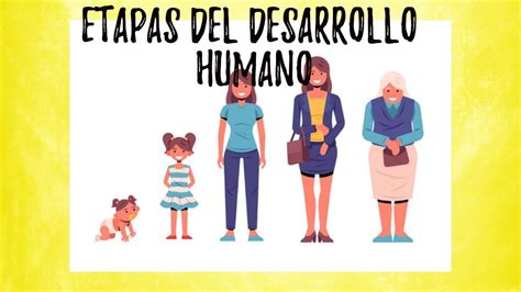 Etapas del desarrollo humano ( video educativo) - YouTube