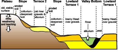 Soil Formation