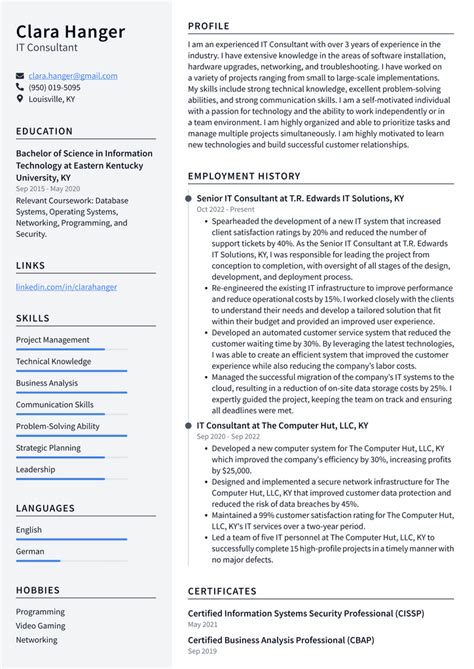 Apple IT Consultant Resume Examples | ResumeCat