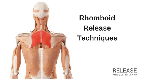 Rhomboid Myofascial Release Techniques | Trigger Points