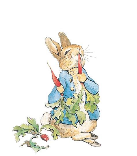 Rediscover the Enchanting Illustrations of Beatrix Potter | Knutsford Times