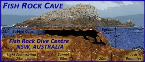 Diving Fish Rock Cave at South West Rocks