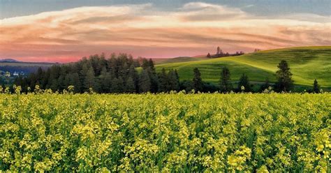 Palouse Photography Tours: 2017 Palouse Photography Tours