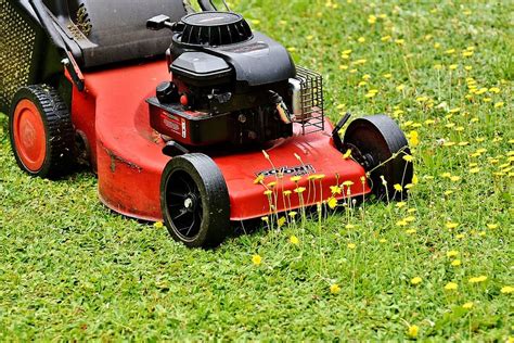 HD wallpaper: red and black push mower on green grass field, Lawn Mower ...