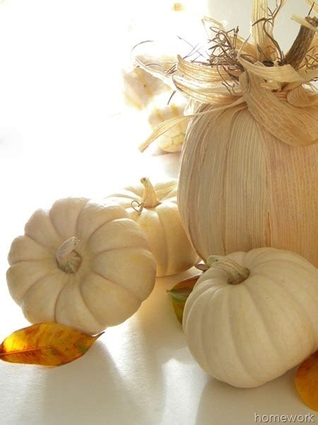 Corn Husk Crafts…Perfect for Fall Decor! - Uncommon Designs