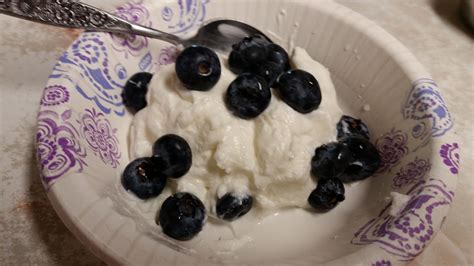 Plain Greek Yogurt & Blueberries Snack Plain Greek Yogurt ...