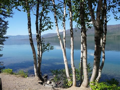 Montana Glacier National Park Lake - Free photo on Pixabay