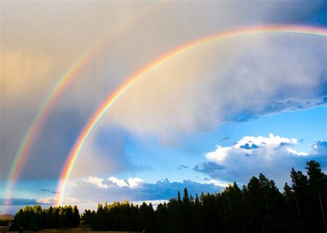 The Different Types of Rainbows | Mental Itch