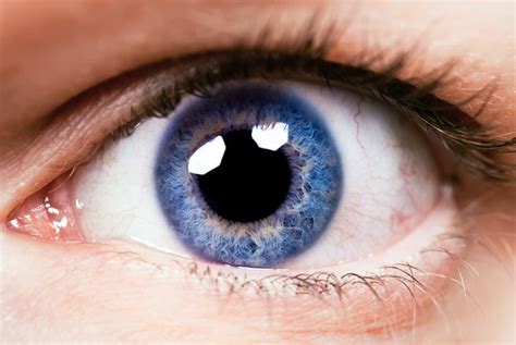 7 Messages Your Dilated Pupils Are Sending – Learning Mind