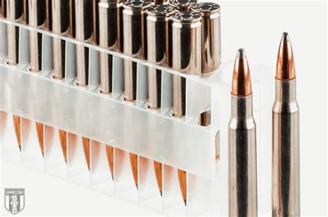 30-06 vs 7mm Rem Mag: Rifle Caliber Comparison by Ammo.com