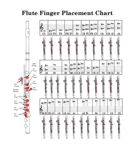 FREE 21+ Sample Flute Fingering Chart Templates in PDF | MS Word