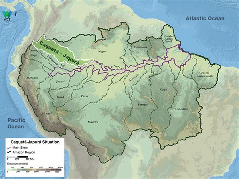 Caquetá-Japurá | Amazon Waters