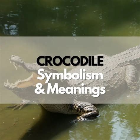 Crocodile: Symbolism, Meanings, and History - Symbol Genie