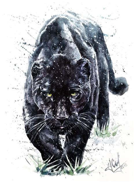 panther, black, watercolor, jaguar, background, animal, white, wildlife, leopard, art, nature ...