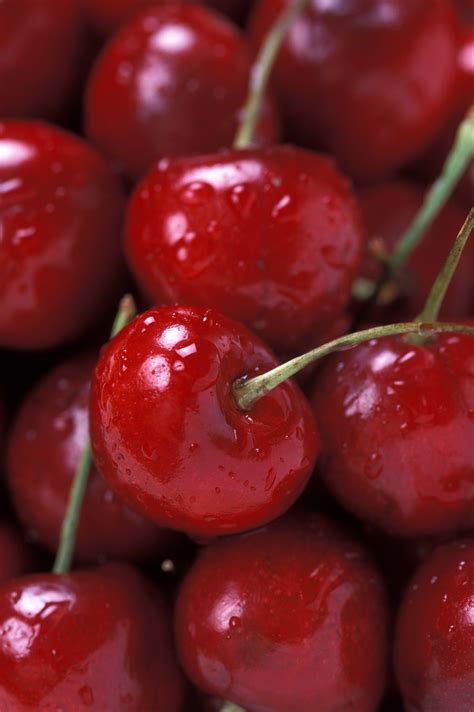 File:Bing Cherries (USDA ARS).jpg - Wikipedia, the free encyclopedia