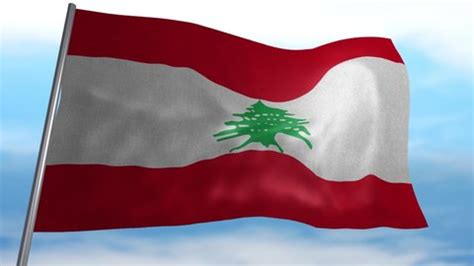 Flag Lebanon On Soldiers Arm Collage Stock Photo 1459644233 | Shutterstock