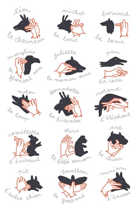 44 best hand shadow puppet's images on Pinterest | Hand shadows, Shadow play and Shadow pictures