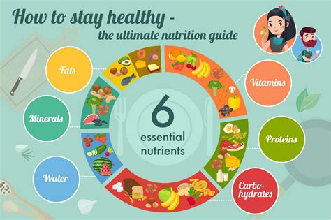 Essential Nutrients: What Are They How Much Do You Need?