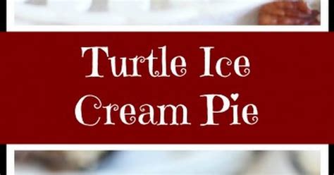 10 Best Turtle Meat Recipes | Yummly