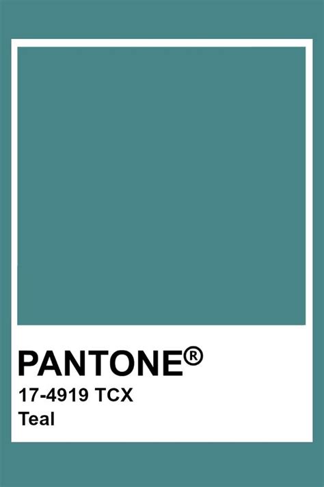 Pantone Wild Aster Pantone Pantone Tcx Pantone Colour Palettes | Images and Photos finder