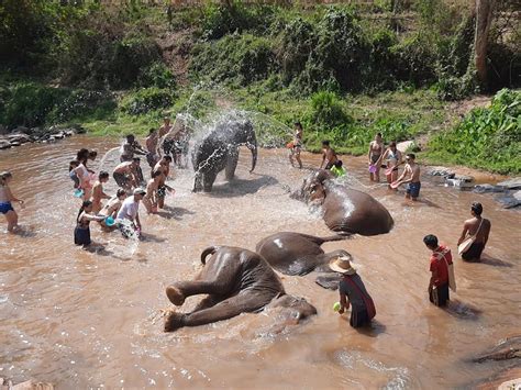 SV102 HALF DAY ELEPHANT JUNGLE SANCTUARY TOUR WITH LUNCH