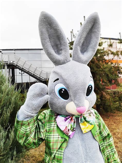 Easter Bunny Mascot Costume Adult Mascot Costume Party - Etsy