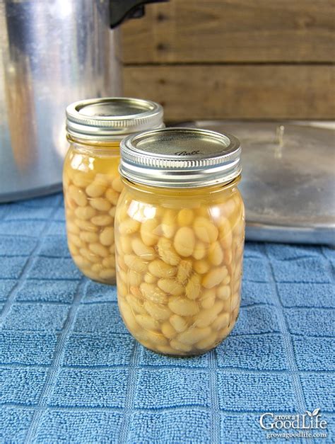 Canning Dried Beans