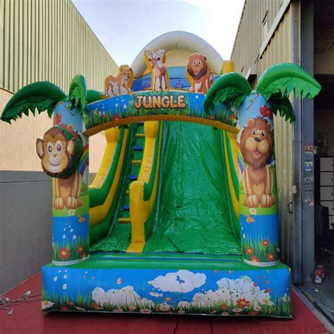 Bouncy Castle with Slide Rental - Bring Fun to Your Event