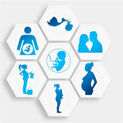 Stages of Prenatal Development – Child and Adolescent Development