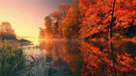 2560x1440 Trees Fall Reflection Autumn 4k 1440P Resolution ,HD 4k Wallpapers,Images,Backgrounds ...