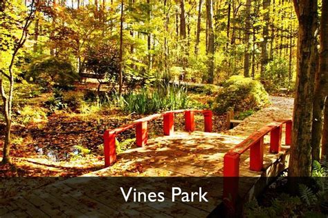 Vines Park, Loganville, Georgia www.gwinnettparks.com | County park, Park, Parks and recreation