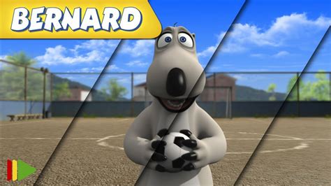 🐻‍ ️ BERNARD | Collection 53 | Full Episodes | VIDEOS and CARTOONS FOR KIDS - YouTube