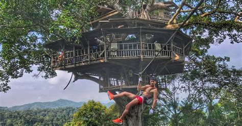 10 Most Incredible Tree House Hotels in the World