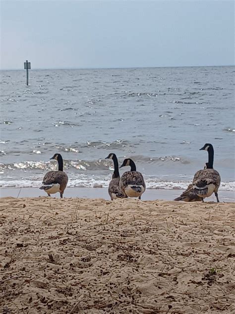 FAIRHOPE MUNICIPAL BEACH NORTH BEACH - Updated December 2024 - 1 ...